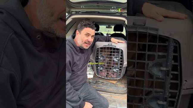 Pitbull abandonado é resgatado após dias enfrentando frio no Rio Grande do Sul #shorts