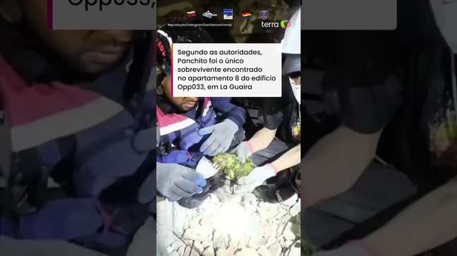 Papagaio sobrevive por uma semana sob escombros de prédio e é resgatado na Venezuela #shorts