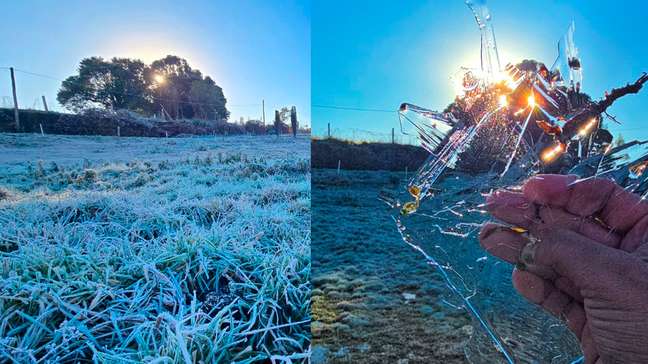 SC registra ao menos 19 cidades com temperaturas negativas; vídeo mostra até teia de aranha congelada