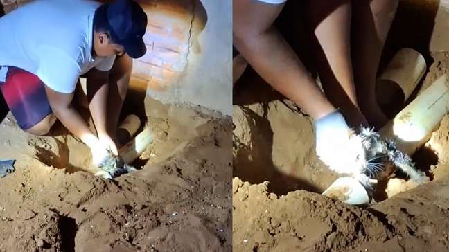 Gato é resgatado de tubulação de bueiro por moradores e PM no interior de SP; veja