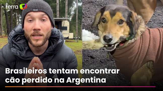 Brasileiro faz buscas por cão que desapareceu em viagem na Argentina #shorts