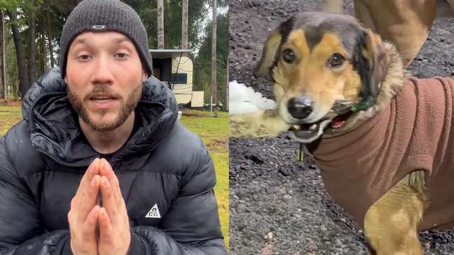 Brasileiro faz buscas por cão que desapareceu em viagem na Argentina: 'A gente não consegue voltar sem ele'