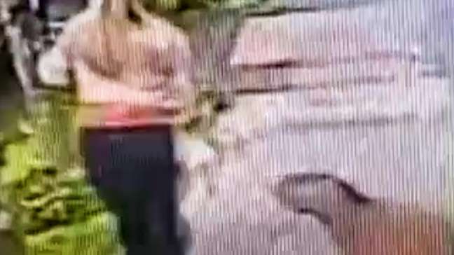 Capivara sai de moita e avança em cachorro durante passeio no interior de SP