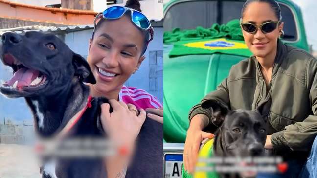Cantora mostra evolução de cão adotado em palco na Paraíba: 'O amor transforma tudo'