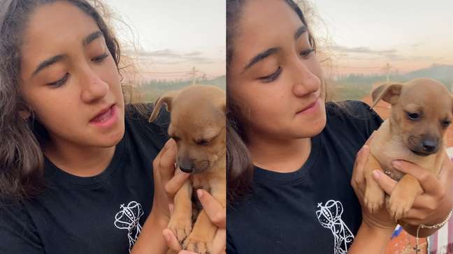 hn_16x9_9x16_cachorrinho_6a68c2de6a8701429b4c458c