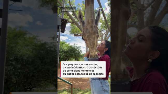 'Dra. Dolittle'? Veterinária mostra rotina com animais silvestres em zoológicos #shorts