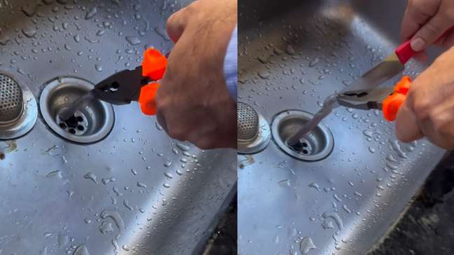 Vídeo de ‘cobra-de-duas-cabeças’ achada em ralo de pia de cozinha viraliza