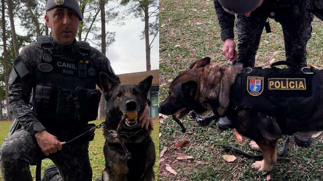 Cadela se aposenta da PM após sete anos de serviço e recebe homenagem: 'Vai descansar'