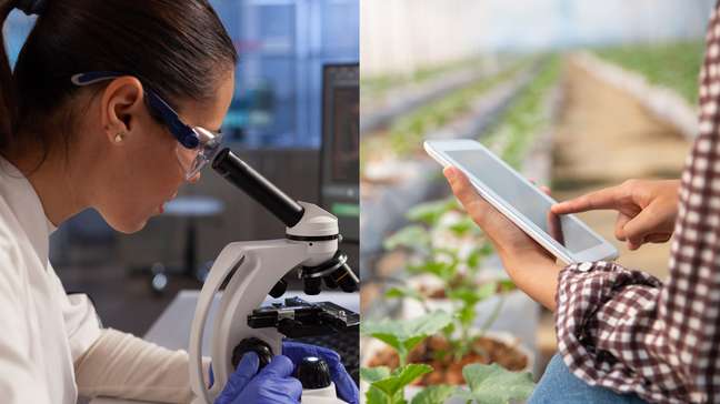 Candidatos a presidente apresentam propostas limitadas em tecnologia, dizem especialistas