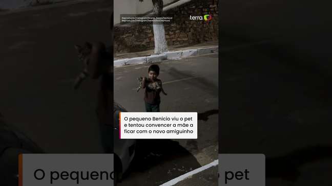 Sequestro fofo: menino encontra gatinho da vizinha na rua e tenta levá-lo para casa #shorts