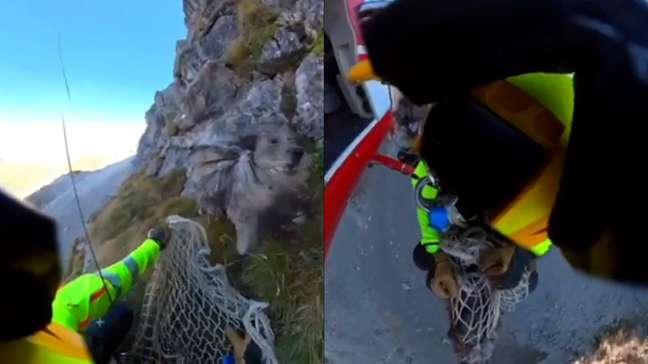 Veja momento em que cachorro é resgatado de helicóptero após ficar preso em montanha na Itália