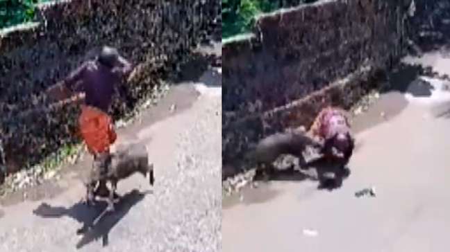 Homem fica ferido após ser atacado duas vezes por javali enquanto caminhava em rua na Índia; veja momento