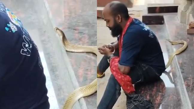 Homem morre após ser picado por cobra venenosa enquanto gravava vídeo com o animal na Índia; veja o momento