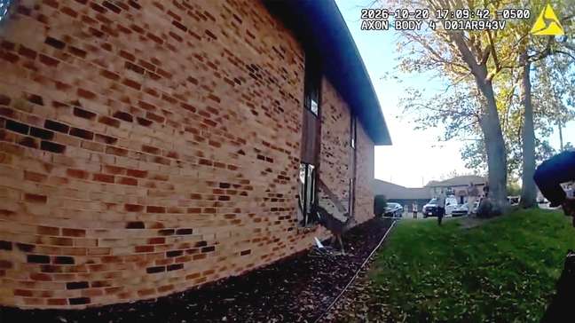 Veja o momento em que cervo invade apartamento e foge pela janela nos EUA
